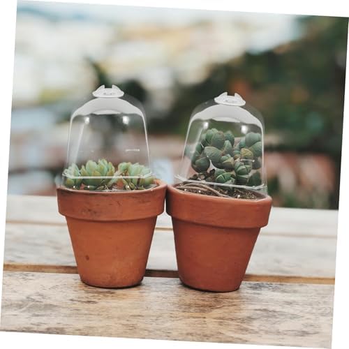 Toddmomy 10Pcs Transparent Greenhouse Dome Plant Cloche Covers - Image 6