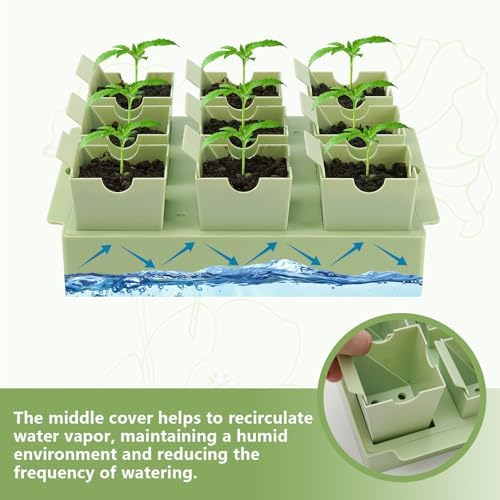 Seed Starter Tray with Lift-Out Handles for Easy Transplanting - Image 6