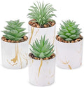 Der Rose 4 Pack Mini Fake Succulents in Pots for Office Desk Accessories by DerRose