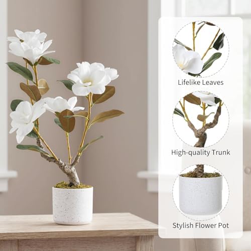 2FT Artificial Magnolia Tree with Pot, Faux Flower Tree with White Magnolia Blooms and Green Leaves, Potted Artificial Plant for Living Room, Bedroom, Office, Entryway, Store, Home Dector - Image 3