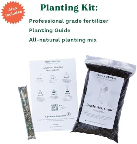 Chicago Hardy Fig - Includes Planting Kit (7 Gallon) - Image 3