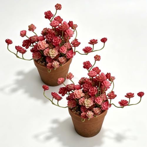 Artificial Red Trailing Rosette Succulent Potted Plant, Small Plants 2 Pack by QenyiHPD