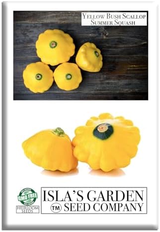 Yellow Bush Scallop Summer Squash Seeds (Pattypan, Cucurbita pepo var. clypeata) – 30+ Non GMO Heirloom Seeds by Isla’s Garden Seeds, Ideal for Compact Garden Growing, Excellent Kitchen Use, Gift Idea by IslasGardenSeedsCompany
