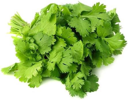 Culinary Herb Seeds Variety Pack – Genovese Basil, Italian Flat Leaf Parsley, Cilantro, Dill – Non-GMO, Heirloom, USA-Grown Herb Garden Seeds for Indoor or Outdoor Growing – Kitchen Essentials for Cooking - Image 4