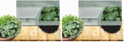 Outsidepride Winter Purslane Seeds for Planting - 10,000 Pcs Annual, Easy to Grow, Vitamin-Rich & Drought Tolerant Succulent Seeds for Culinary, Xeriscaping, Containers & Hanging Baskets (Pack of 2) by Outsidepride