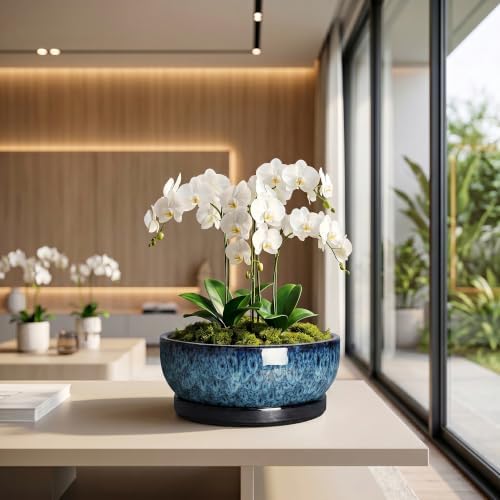 Bonsai Pots, 10 Inch Ceramic Succulent Pots with Saucer, Blue - Image 5