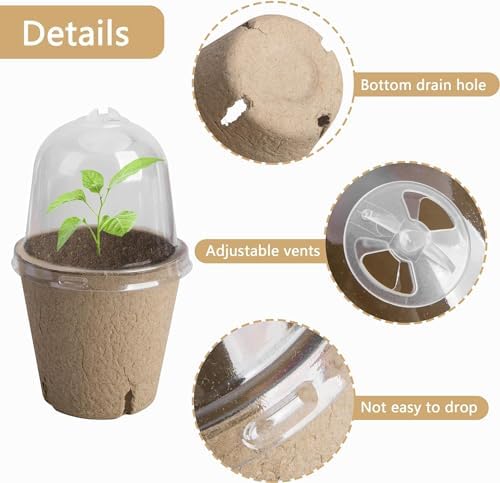 40 Packs Biodegradable Pots with Humidity Dome, 3.1" Seed Starter Peat Pots - Image 3