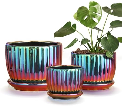 Ceramic Planters,Plant Pots with Drainage Holes & Saucers Set of 3(Purple) by TonSin