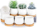 SHECIPIN Succulent Plant Pot, White Mini 2.6 inch Ceramic Flower Planter Pot with Bamboo Tray, Pack of 8 - Plants Not Included by SHECIPIN
