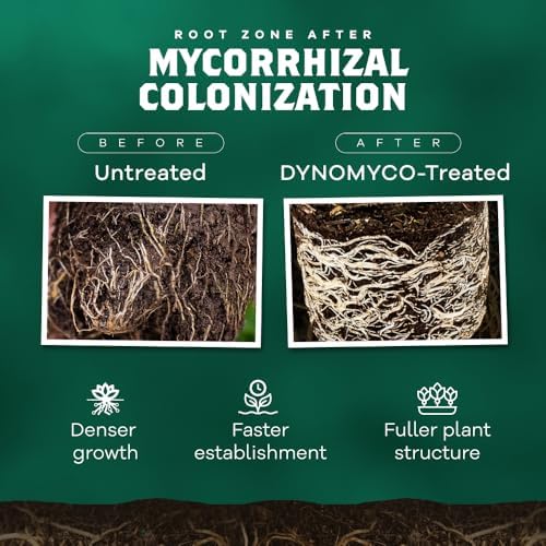 DYNOMYCO Mycorrhizal Fungi Inoculant Grow Kit - Image 3