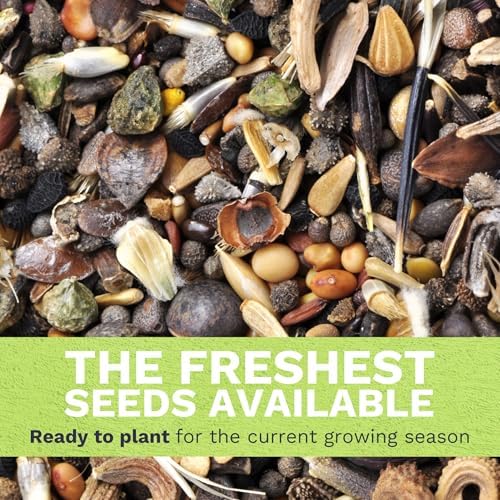 Midwest Regional Mix - Bulk 1/4 Pound Pouch - 60,000 Flower Seeds for Planting - Wildflower Mix - Image 5