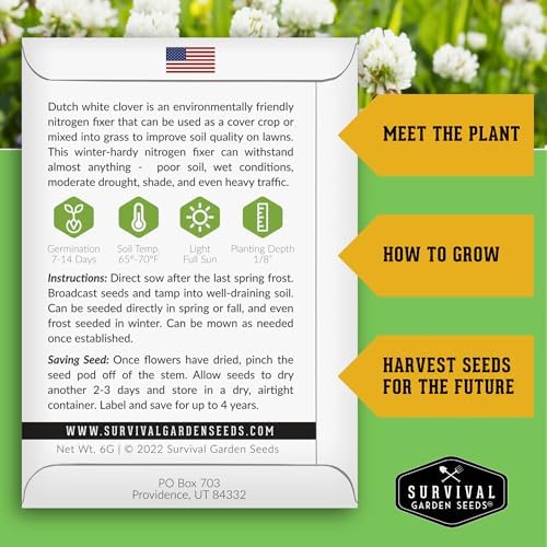 Flowering Ground Cover Seeds for Planting – 5 Variety Collection - Image 2