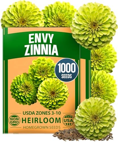 HOME GROWN Envy Zinnia Seeds, 1000 Seeds, Zinnia elegans by HOMEGROWN