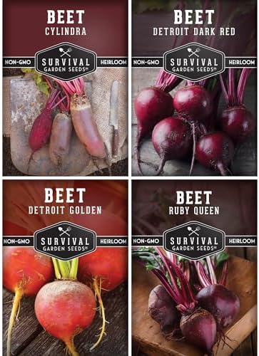 Beet Seeds 4 Variety Pack for Planting - Root Vegetables by SurvivalGardenSeeds