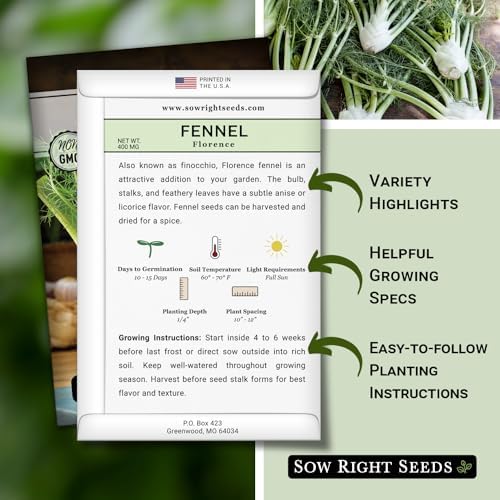 Sow Right Seeds-Florence Fennel Seed for Planting Perennial Herb Garden 2pk - Image 2