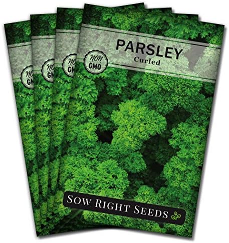 Sow Right Seeds - Curled Parsley Seed for Planting Your Own Herb Garden 4pk by SowRightSeeds