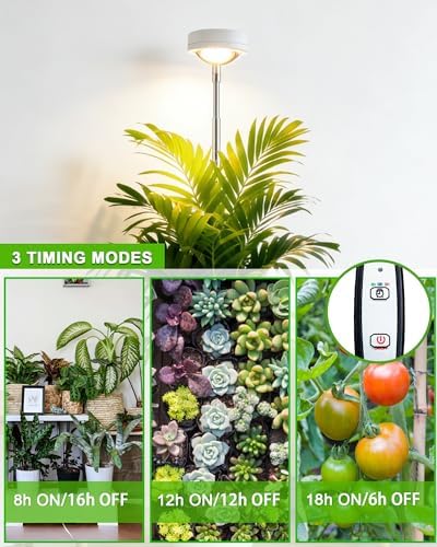 Plant Grow Light, LED Growing Light Full Spectrum for Indoor Plants,White Magnifying Glass Plant Lights,Height Adjustable, Automatic Timer, 5V Low Safe Voltage,Idea for Large - Image 2