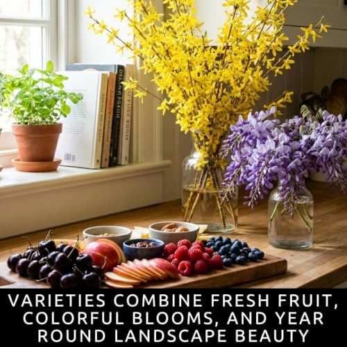 Live Plants Cherry, Wisteria, Apple, Raspberry, Blueberry, Forsythia. 12 Live Plants, 2 Plants of Each Variety, Fruit and Flowering Collection - Image 2