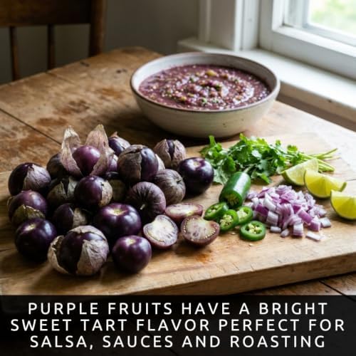100 Purple Tomatillo Seeds | Heirloom Vegetable Seeds for Planting - Image 3