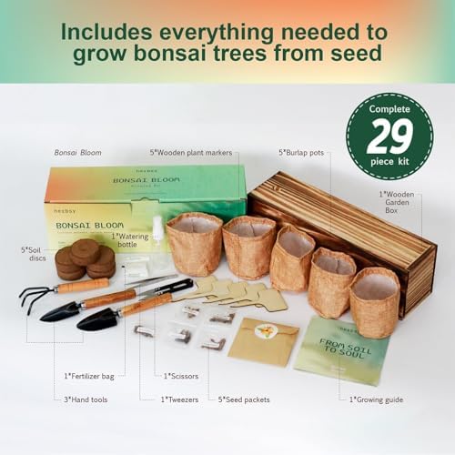 5 Pack Bonsai Tree Kit with Complete Tools, 5X Unique Seeds Bonzai Tree Live Kits, Complete Indoor Bonsai Starter Kit with Wooden Box, Perfect Christmas Garden Gift for Mom, Men, Women, Plant Lover - Image 4