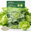 Buttercrunch Lettuce Seeds – 2500 Heirloom Seeds for Planting, Butter Lettuce Seeds for Indoor Outdoor Hydroponic Home Garden by PLANTMEW