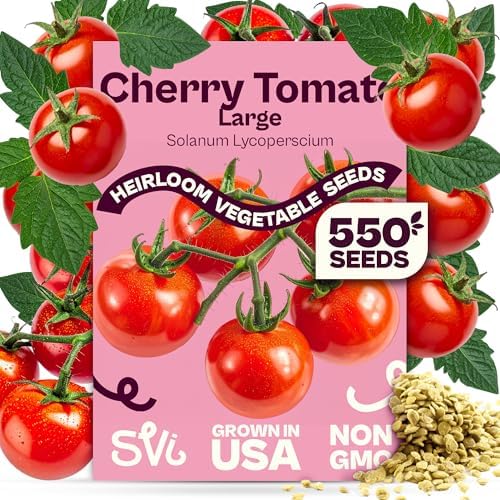 SVI 550 Large Red Cherry Tomato Seeds (Solanum lycoperscium) – Cherry Tomatoes Seed Packets, Mini Tomatoes On The Vine – Heirloom Vegetable Seeds in Home Garden, Containers, Greenhouses by SVI