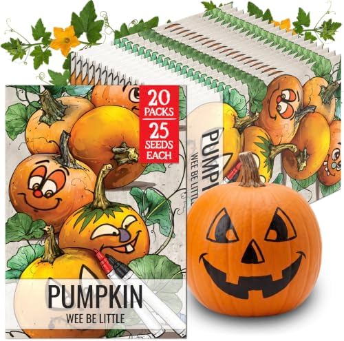 Seed Needs Wee Be Little Pumpkin Seeds to Plant Vegetables - 20 Packs by SeedNeeds