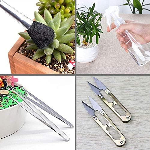 SONGZIMING 15 Pcs Succulent Plant Tools Set - Image 5