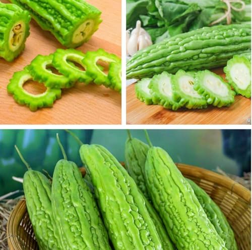 Long Bitter Melon Seeds 30pcs - Bitter Gourd Heirloom Non-GMO Bittermelon Seeds with Easy to Follow AKA. Bitter Gourd, Bitter Squash, Balsam Pear, Kyushu, Karela, Goya - Image 2