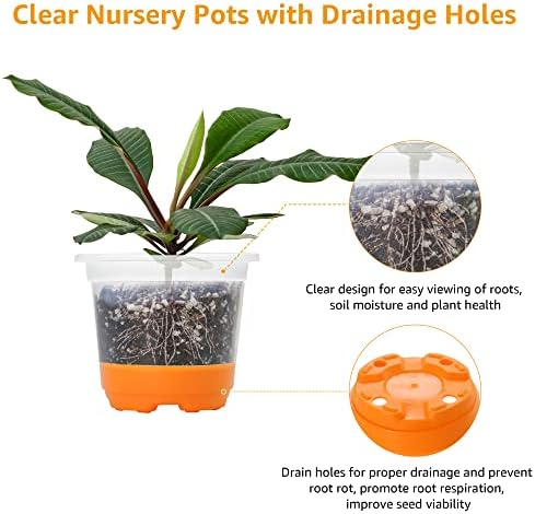 MIXC Clear Nursery Pots with Silicone Base, 4-Inch, 30-Pack - Image 5