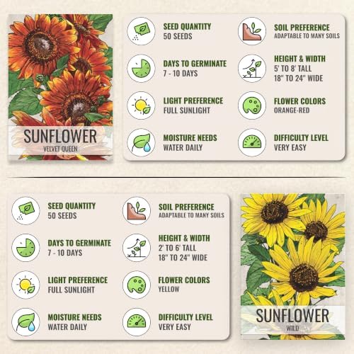 Seed Needs Sunflower Seeds Variety Pack of 6 Flowers for a Butterfly Garden - Image 7