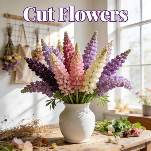Lupine Seeds to Plant, Mixed Colors Perennial Wildflower Pollinator Magnet - Image 3
