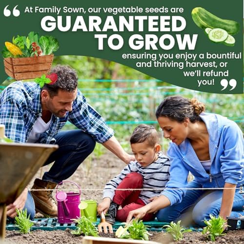 Marketmore Cucumber – 200 Premium Seeds for Planting – Crisp, Disease-Resistant Slicer for the 2026 Season – 6 Gram Pouch - Image 7