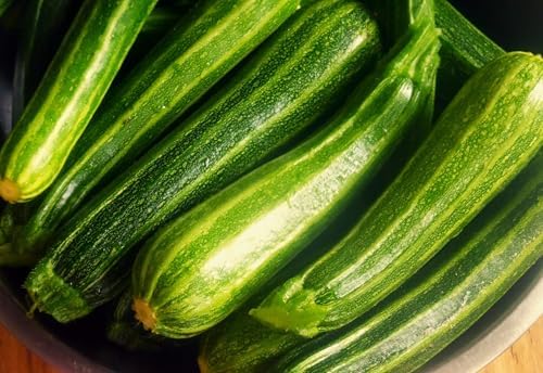 Cocozelle Zucchini Seeds - 1 Pound ~ 3400+ Count - for 2026 Planting Italian Striped Summer Squash Heirloom Zucchinis Napoli Costata Romanesco Garden Vegetable Grow Your Own Home Farm - Image 4