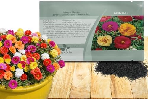 Outsidepride Mixed Moss Rose Seeds - 10000 Pcs Annual, Drought & Heat Tolerant, Pollinator Friendly Ground Cover Seeds for Planting w/Vibrant Blooms & Succulent Foliage, Ideal for Xeriscaping by Outsidepride