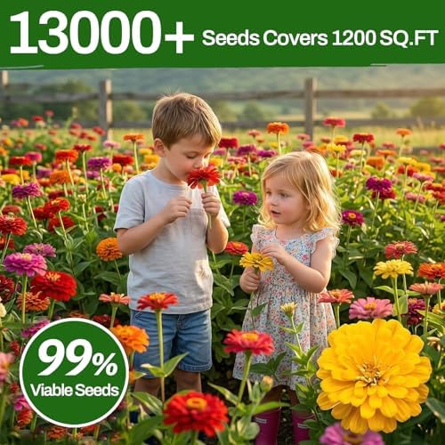 LUOJIBIE Zinnia Seeds, 13000+ Bulk Pack Mixed Colors Large Blooms Seeds, California Giant Zinnia Seeds for 2026, High Germination Non-GMO, Wildflower Seeds for Planting Indoor Outdoor, Open Pollinated - Image 5