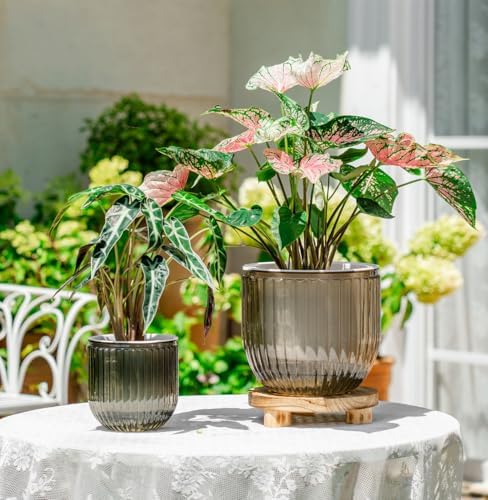 Melphoe 2 Pack Self Watering Hanging Planters Indoor Flower Pots, 5.3/8.3 Inch Outdoor Hanging Basket, Plant Hanger with 3Hooks Drainage Holes for Garden Home (Gray) - Image 4