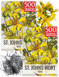 Seed Needs St. John's Wort Seeds to Plant an Herb Garden - 2 Packs by SeedNeeds