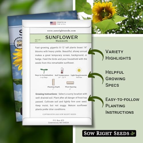 Sow Right Seeds-Mammoth Sunflower Seed for Planting Giant Flower Garden 3pk - Image 2