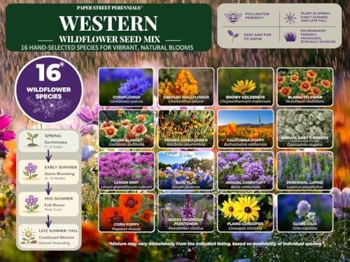 Montana Wildflower Seed Mix, 1/4 lb Covers 800 sq ft, Multi-Color Perennial and Annual Non-GMO Blooms to Attract Pollinators, Spring and Fall Planting (1/4 Pound) - Image 3