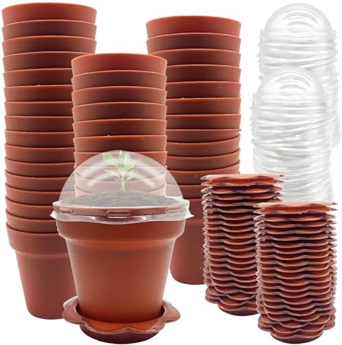 PURPLE STAR 1N 50 Packs Cupcake Plant Nursery Pots with Humidity Dome- Planting Containers Cups- Small Flower Pots with Trays & Lids for Indoor Outdoor Seedling Succulent Vegetable (Wine Red) by PurpleStar