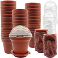 PURPLE STAR 1N 50 Packs Cupcake Plant Nursery Pots with Humidity Dome- Planting Containers Cups- Small Flower Pots with Trays & Lids for Indoor Outdoor Seedling Succulent Vegetable (Wine Red) by PurpleStar