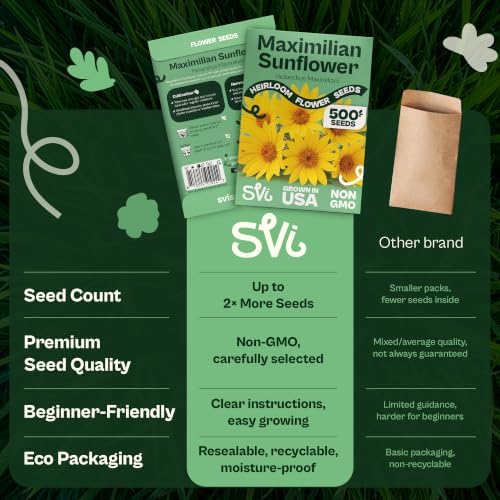 SVI 500 Maximilian Sunflower Heirloom Flower Seeds Helianthus maximiliani - Image 6