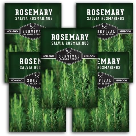 Rosemary Seeds for Planting – Survival Garden Seeds (5 Pack) by SurvivalGardenSeeds