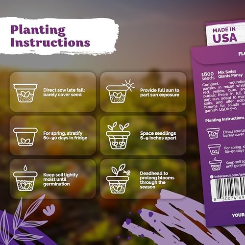 1,600 Swiss Giants Pansy Heirloom Flower Seeds, Viola Wittrockiana - Image 3