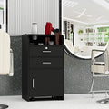 Salon Station,Trolley Cart with Wheels,Storage Cabinet,Black by PENNYNANA