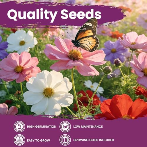 Mix Cosmos Seeds for 2026, 5000+ Fast-Growing Crazy Cosmos Flower Seeds for Planting, 1 Oz Heirloom Cosmo Seed, Open Pollinated, High Germination, Easy to Grow - Image 5