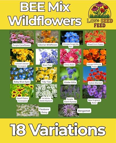 Bee Wildflower Seed Mix – (2oz) - Pollinator Flower Seeds for Bees – Nectar & Pollen Rich Blooms for Honey Bees. Friendly Flower Blend for Outdoor Gardens & Meadows! - Image 2