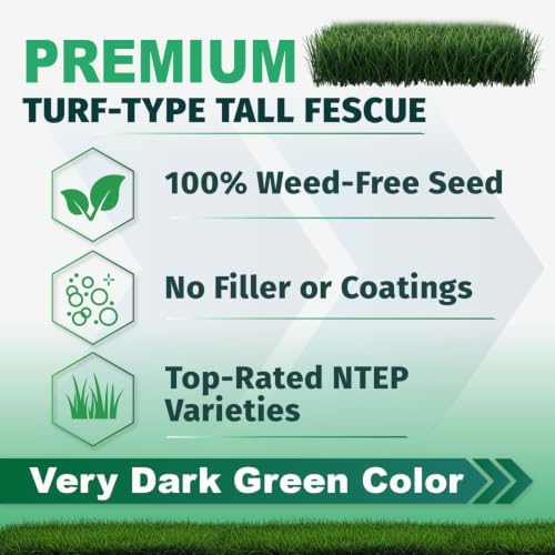 Envy Turf Type Tall Fescue Grass Seed (25 lbs.) - 100% Weed Free - Drought Tolerant - Disease Resistant - Dark Green Color - Image 3