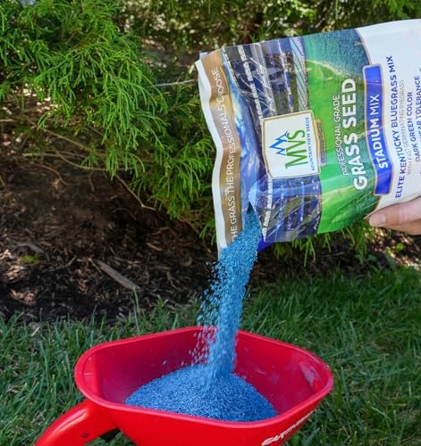 The Andersons Stadium Mix Kentucky Bluegrass Grass Seed - 3 lbs. - Image 5
